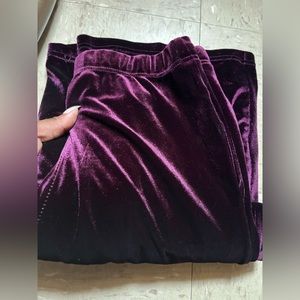 Velvet Wide-leg trouser Pant